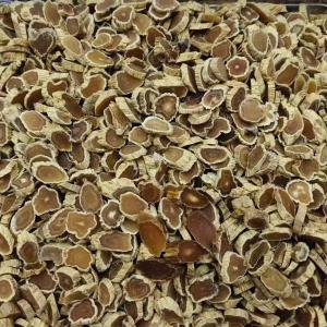 Commercial Red Ginseng Chinese Herbal Medicines Ginseng Herbs FDA HALAL Approval