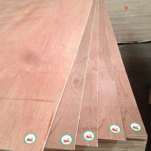 Customizable Water Based Fire Retardant Wood Rubbing Treasure