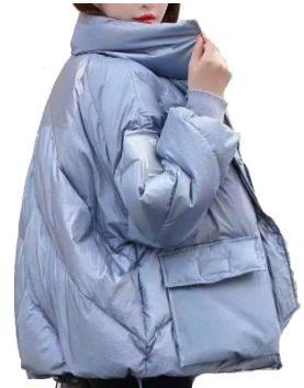 Windproof Female Down Jacket , Padded Ladies Down Parka Casual Style