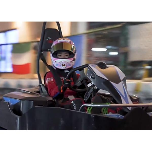 Одиночный взрослый мотора 2850RPM идет Karting 70km/H Pro электрические идут