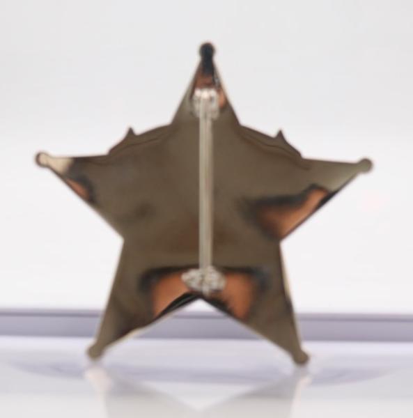2.75inch Shinny Silver Plating Custom police badge with custom logo