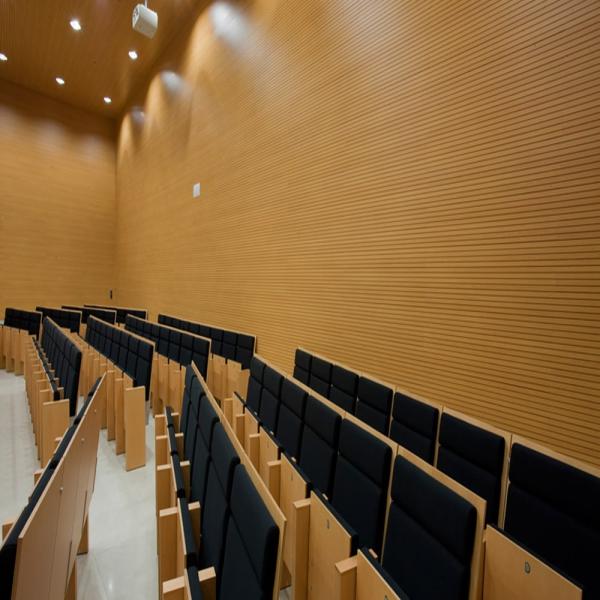 TBC Linear Wooden Veneer Acoustic Panel 14/2mm For School Conference Hall