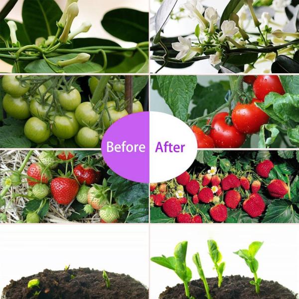 Mirrors Bright LED Indoor Grow Lights 1200 Watt 50/60 Hz 300×195×60 Mm