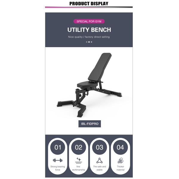 Adjustable Sit Up Bench for Weight Lifting Modern Style Foldable Dumbbell Weight Bench