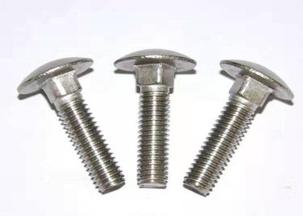 Round Head Square Neck Bolt , Carbon Steel / Stainless Steel Roundhead Bolt