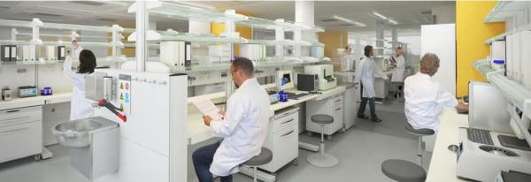 Bags are gamma sterilized, leaving a virgin interior surface with no toxic residue from gas exposure. Samples can be eas