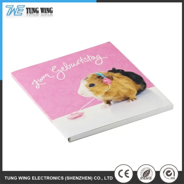Custom Sound Recording ABS Material Sound Module for Children's Board Book CE & ROHS Certified