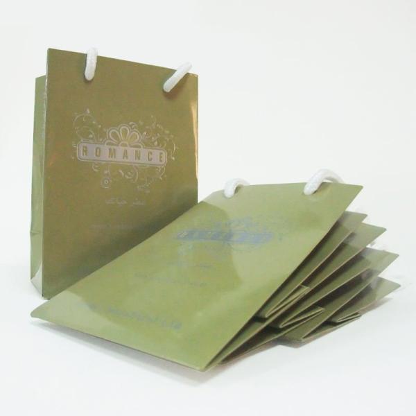 Service d'impression de papier fait sur commande de sac de transporteur d'achats dans la couleur de CMYK et de PMS