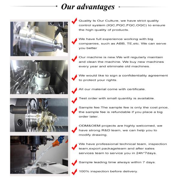 Demo Overdenture Dental Implant Model with Lower Implants and Precision Machine Part