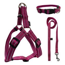 Trela retrátil do cão do verde luxuoso feito sob encomenda de Logo Dog Harness Lead Set