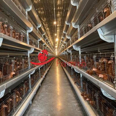 Automatic Poultry Cage System Growth Optimization for Baby Chicks
