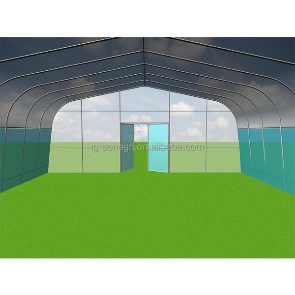 Durable Poly Small Agricultural Greenhouse Tunnel Roses Professional Flower Growing UV-Resistant PE Film Cover Ventilation