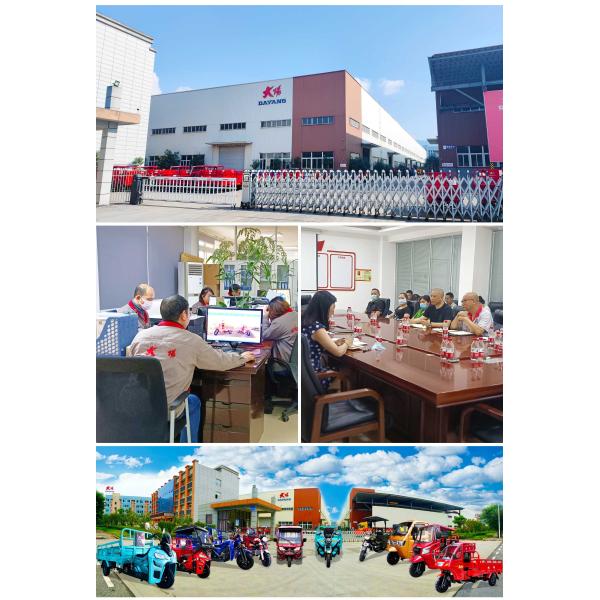 168 Полноплавучие бензиновые моторные трехколесные автомобили с задней осью для грузовых полкабин в Тунисе