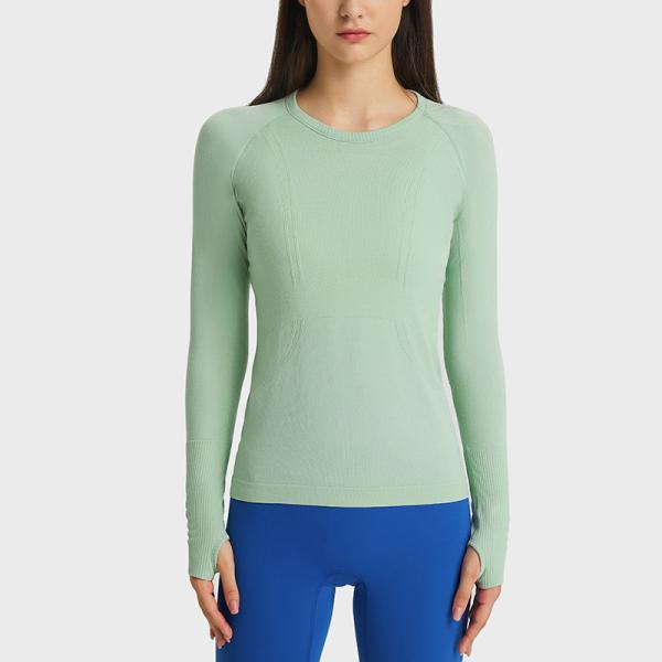 Ladies Long Sleeve Jacquard Horse Riding Tops Round Neck Sports T - Shirt Workout
