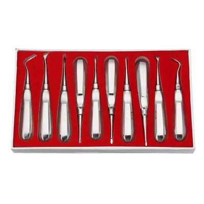 10pcs Dental Elevator Kit Dentist Surgical Tools Stainless Steel Dental Root Elevator