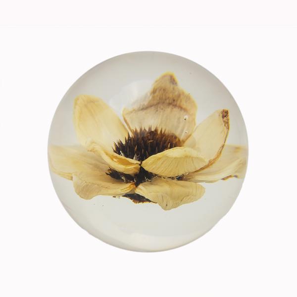 Пресс-папье цветка природы ясное, шарик пресс-папье смолы флористический