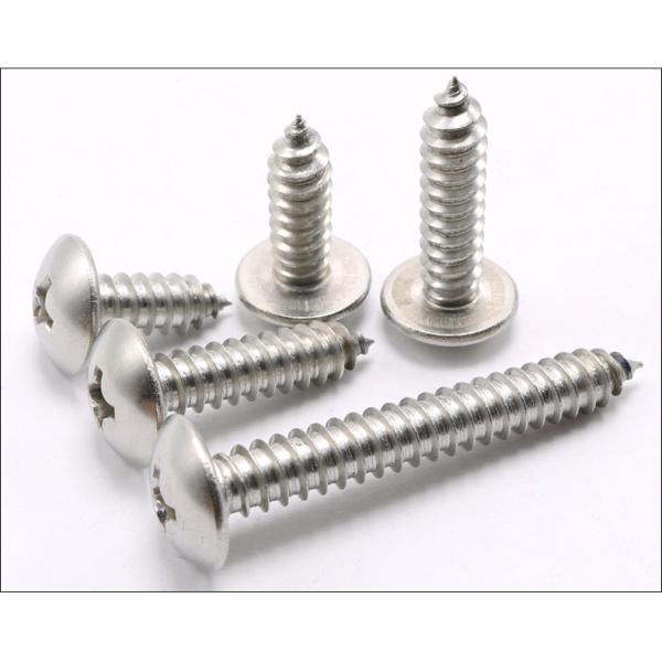 316 Stainless Steel Extra-Wide Rounded Head Screws for Sheet Metal  Truss Head Phillips Drive Tapping Screws