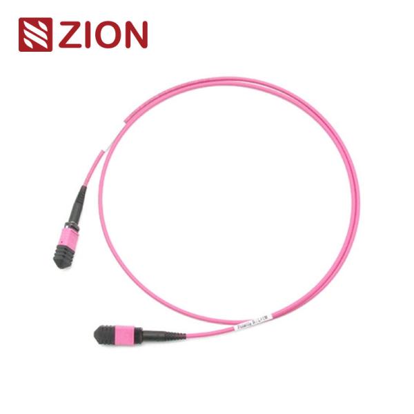 24 Fibras MPO Fêmea Para MPO Fêmea OM4 3,0mm LSZH MPO Patch Cord Medidores Personalizados