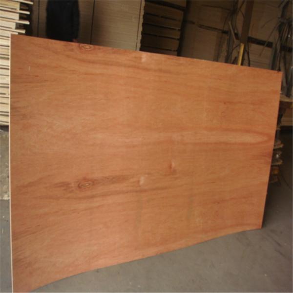 Bintangor Face Back Eucalyptus Core 5 ply Bintangor Plywood