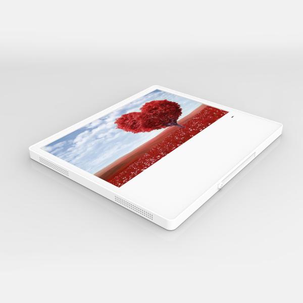 Super Slim High Brightness 27 Inch Wall Mounted LCD LED TFT Display