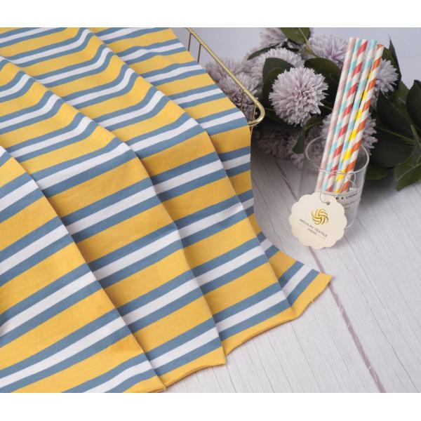 Moisture-absorbent And Breathable Smooth Striped Knit Fabric For T- Shirt