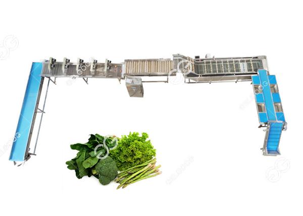CE Certified Stainless Steel Automatic Leafy Vegetable Washing Line Vegetable Processing Plant