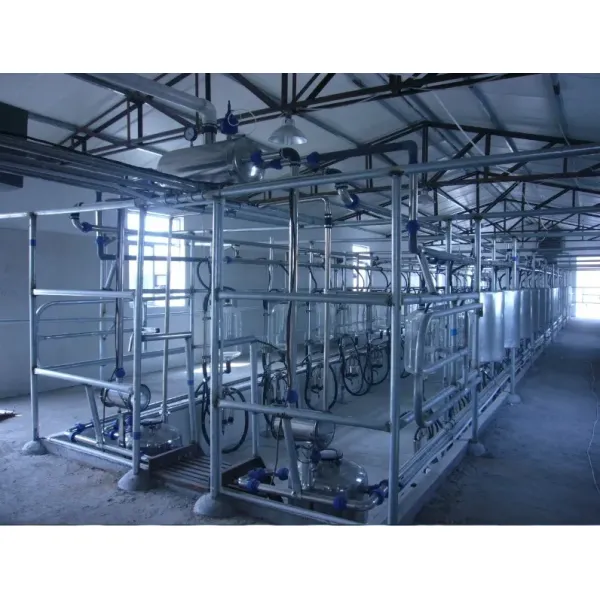 Herringbone Milking Parlor with Glass Milk Bottle and ISO Specification for Dairy Farms