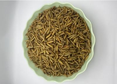 Pet Feeding Mealworms For Fishing Natural Flavor 1 Year Shelf Life