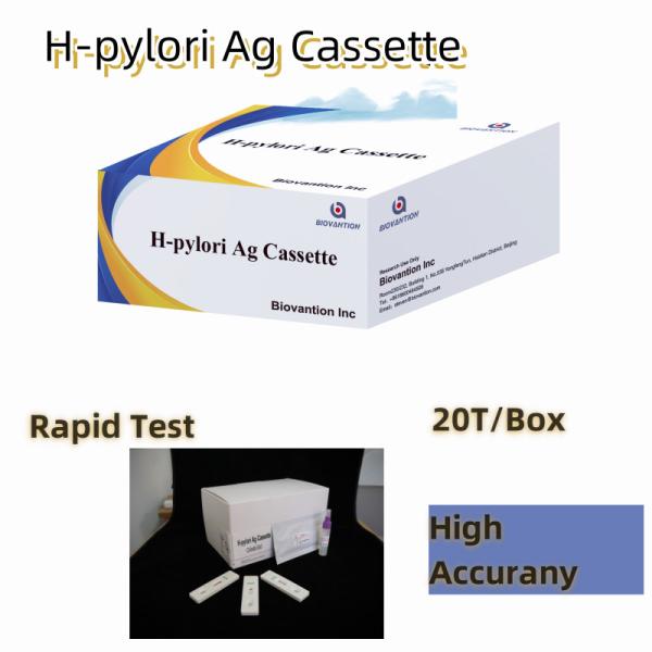 Gastrointestinal Disease Colloidal Gold Rapid Test 25/50 Tests With 5-15 Minute Reading Time