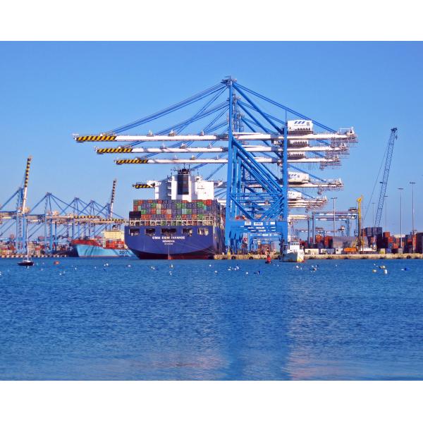 Discounted 40HQ/40GP Container Sea Freight Shipping Companies China To UAE For General Cargo
