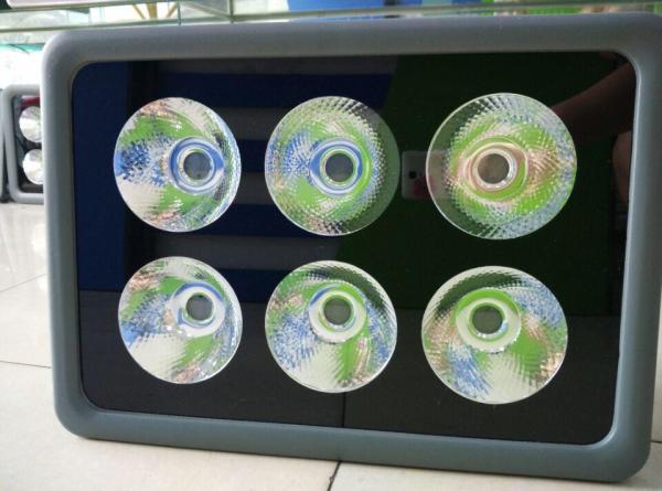 Ultra bright narrow beam angle LED Flood Lighting , led garden flood lights