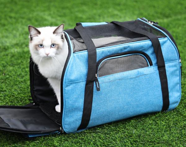 Soft Sided Cationic Stocked Pet Carrier Bag