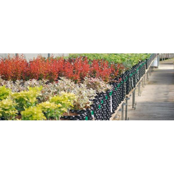 корня воздуха баков воздуха Dia 14L контейнеры гибкого 30cm пластикового прочного подрезая