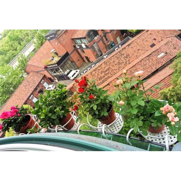 Black Single Tier Metal Flower Pot Stand , 18x22x12cm Single Tier Plant Stand