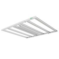 IP54 obscurcissant l'horticulture LED élèvent 0.99PF léger pour la plantation végétale/fruit