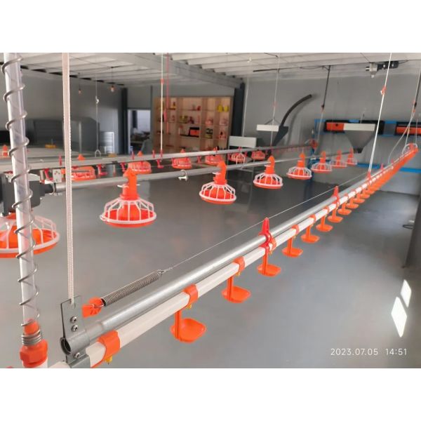 Fully Automated Poultry House Equipment with 50-Year Service Life and Food-Grade Drinking Fountain System