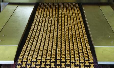 CE Pass SS Pet Treats Extruding Line For Dental Care Dog Chews And Biscuit