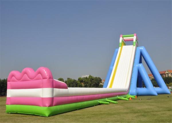 Customized Inflatable Giant Slide Recreational Hippo Animal Theme Design With  Blower