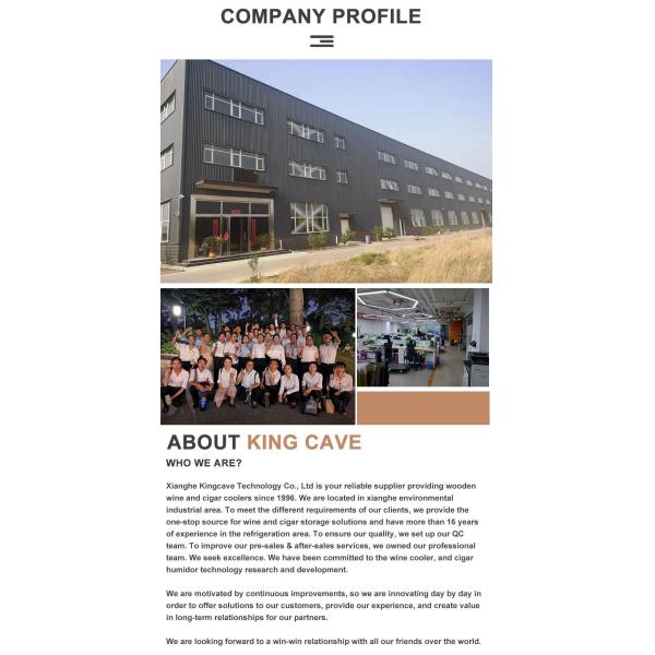 Double Layer Tempered Reversible Glass Door Kitchen Wine Cooler Electric Beverage Refrigerator