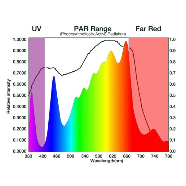 приведенные 600w 1560umol/s растут света запирают полный спектр 730nm для бонзаев