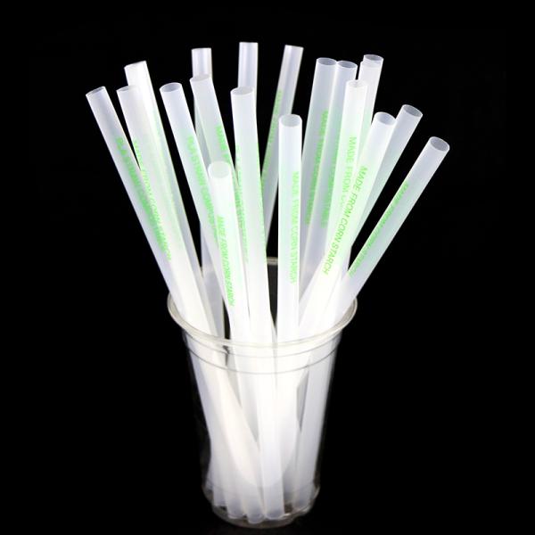 Everyday Plant Based Straws 100% Biodegradable and Compostable for Sustainable Living