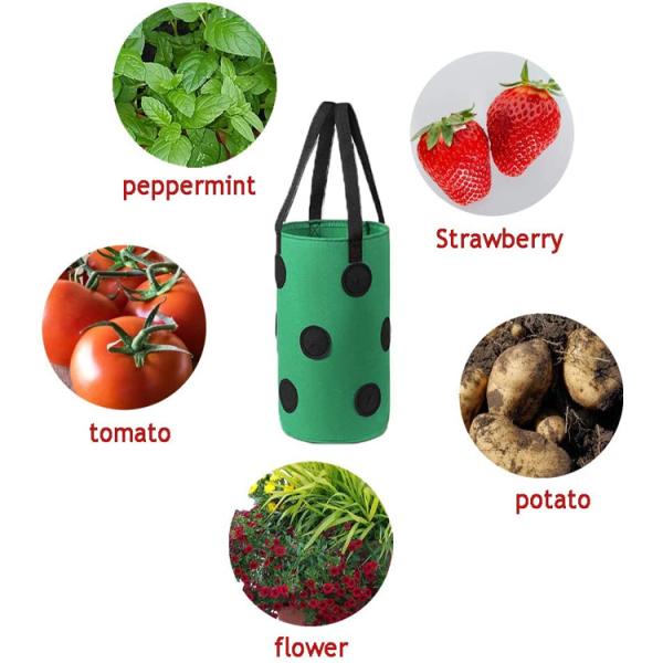 Nonwoven Fabric Strawberry Grow Bag Plant Pots