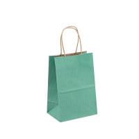 Logo Printed Paper Carrier Bags com os punhos torcidos para a compra