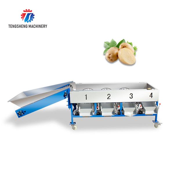 Connected Pipeline Jujube Fruit Sorting Machine Multifunctional