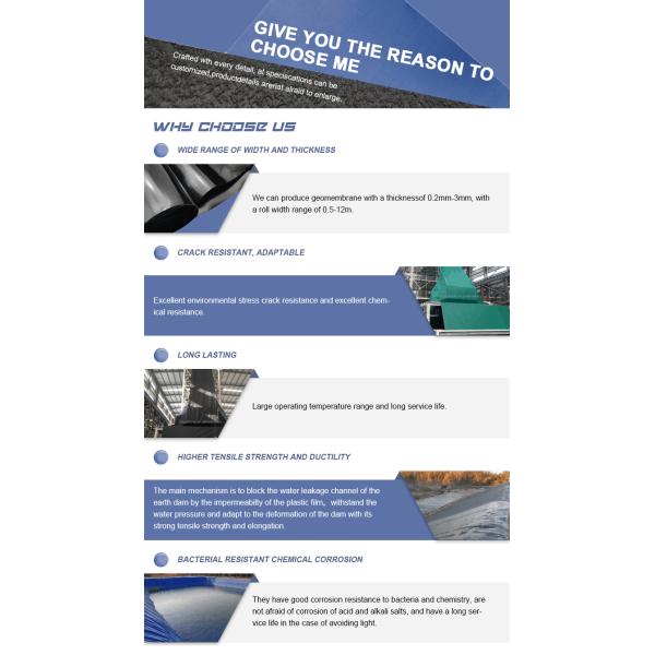 Геомембраны для рыбных резервуаров 2 мм Черный водонепроницаемый HDPE пластик Установка на месте