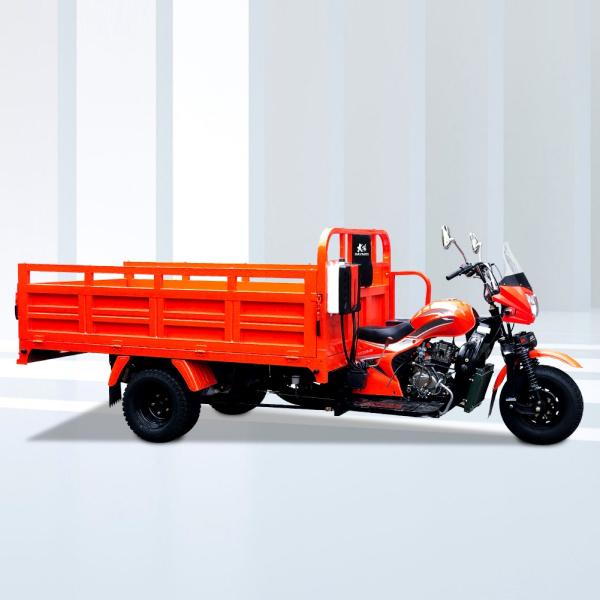 DAYANG 3 Wheel Motorcycle with Orange Body and Lifan 250CC 300CC Ultra-Cooled Engine