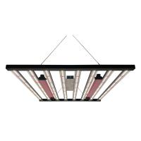 L'horticulture Samsung LM301H Osram LED élèvent 1kW léger pour l'élevage commercial