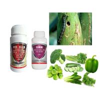 AcNPV Bt Chlorfenapyr SC Pesticidas para árvores frutíferas Insecticida para vermes de raiz de repolho