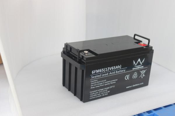 Deep Cycle Sealed 12v65ah Lead Acid Battery AGM And Gel Type For Off Grid Power