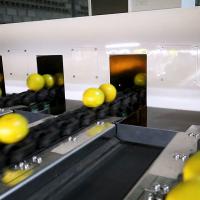 Machine de tri orange rotative à haute précision à 360° 6 - 12T/H avec certificat CE
